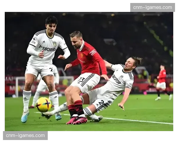 拉扬伯恩茅斯中场组织 1-2纽卡2-2利兹联表现